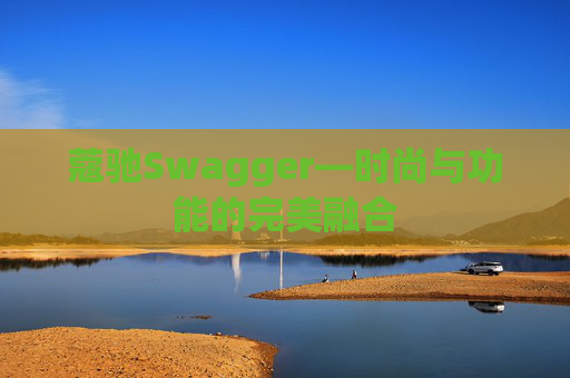 蔻驰Swagger—时尚与功能的完美融合 蔻驰Swagger—时尚与功能的完美融合